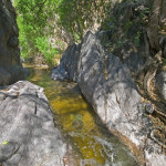 Stream in La Paloma, Rancho El Aribabi - J. Rorabaugh