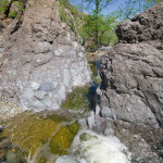Stream in La Paloma, Rancho El Aribabi - J. Rorabaugh