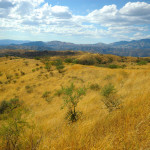 Rancho Aribabi y Sierra de la Madera - J. Rorabaugh