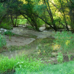 Rio Cocospera, Rancho El Aribabi - J. Rorabaugh